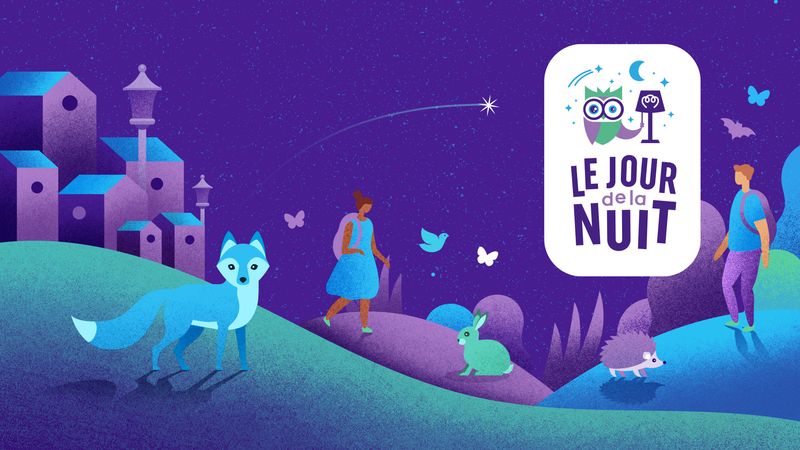 Jour de la nuit 
